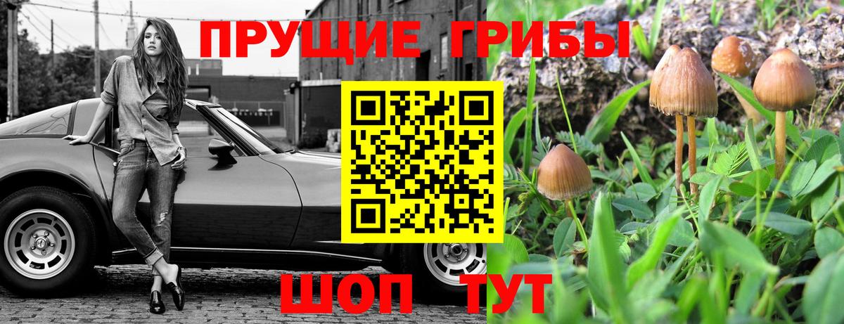 Галлюциногенные грибы мухоморы Киров