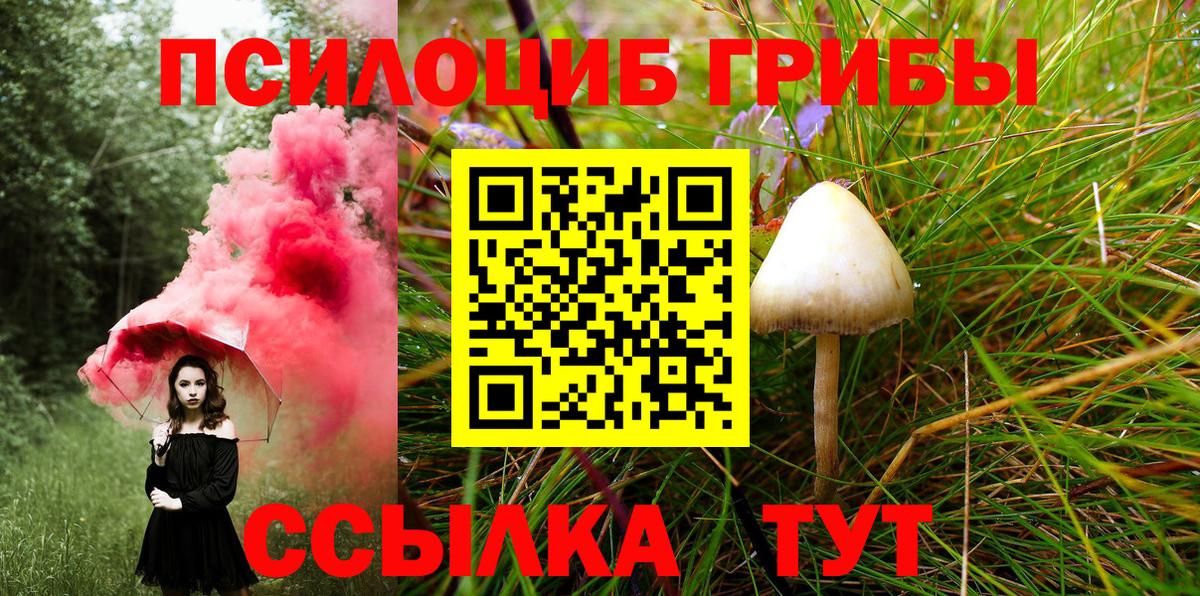 Псилоцибиновые грибы GOLDEN TEACHER  где найти наркотики  Киров  Вход с VPN 